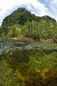 泰国克拉比水晶流福利踪迹蓝色湿地植物淡水水池歌曲水疗红树图片