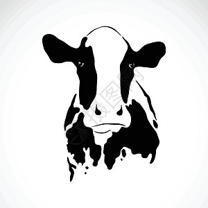 牛的矢量图像牛扒哺乳动物农民奶制品插图皮肤夹子小牛农场牛奶图片