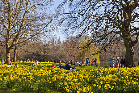 伦敦圣詹姆斯公园民众阳光吸引力历史池塘游客花朵旅游建筑学公园图片