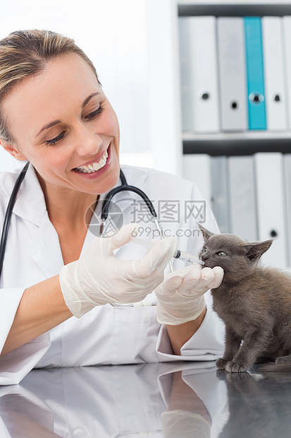 提供猫药的兽医图片