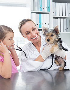 在诊所中与女孩一起接受检查小狗的食用微笑兽医桌子家畜哺乳动物专家动物女士关爱听力图片