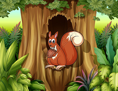 一只松鼠在空洞中握着一个坚果图片