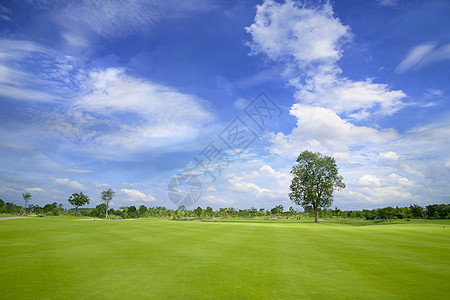 高尔夫课程园景运动高尔夫球场地风景太阳季节蓝天草地球场图片