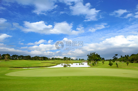 高尔夫球场季节假期蓝色地点场旗帜场景场地植物高尔夫球图片