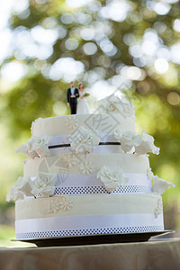 在公园的婚礼蛋糕上的一对小夫妻图片