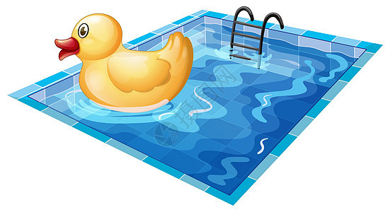 游泳池的玩具鸭背景图片