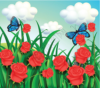 玫瑰草花园里的蝴蝶山坡山顶斑点天空种植园飞行草地花瓣场地翅膀设计图片