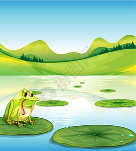 一只饥饿的青蛙 在水上图片