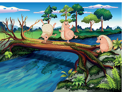 猪在河边玩耍图片