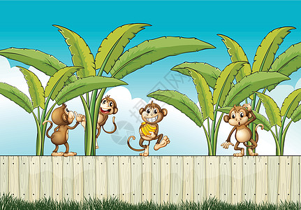 栅栏上一群猴子图片