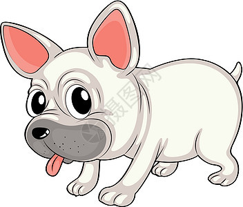 一只白色的斗牛犬宠物酒吧舌头婴儿耳朵眼睛动物尾巴绘画小狗图片