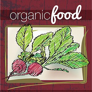 一桌美食有机食品制作图案美食生长标签市场沙拉产品水果烹饪早餐购物插画