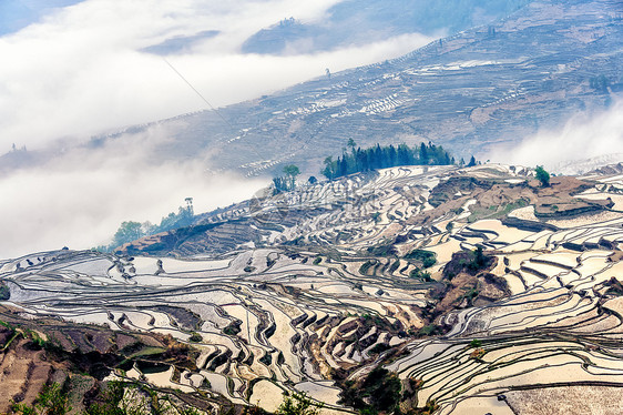 杨阳赖台稻田薄雾梯田旅游地区爬坡胜地日出种植园食物图片