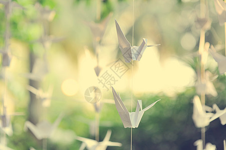 纸起重机文化手工翅膀天鹅动物祝福艺术品自由花园折叠图片