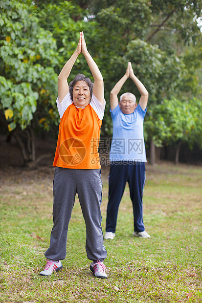 年长夫妇在公园里做运动锻炼男人森林体操耐力娱乐闲暇训练女士夫妻图片