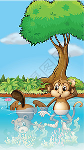池塘里的猴子和海狸图片