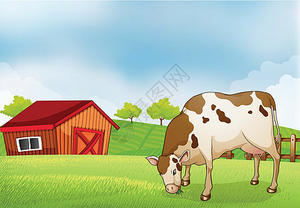 农场里的一头奶牛图片