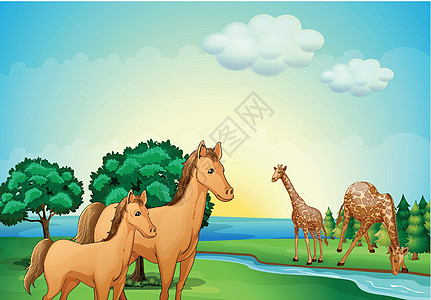 河边的马和长颈鹿图片