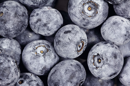 新鲜蓝莓甜点白色浆果蓝色食物小吃叶子团体覆盆子水果图片