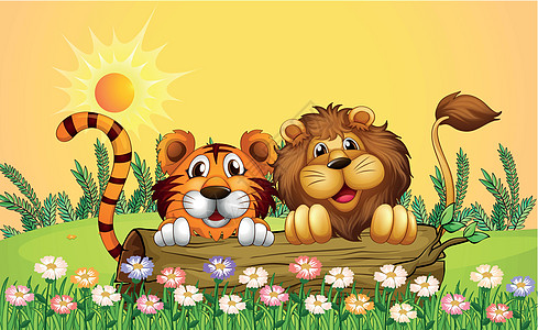 狮子和老虎捕食者场景胡须晴天树叶荒野风景星星动物卡通片图片