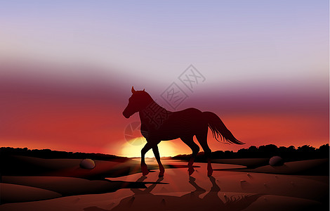 沙漠的日落和一匹马图片