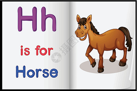 一本书里一匹马的照片字母运输图书床单教育动物阴影蓝色语言绘画背景图片