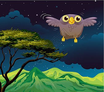 一只猫头鹰半夜飞翔图片
