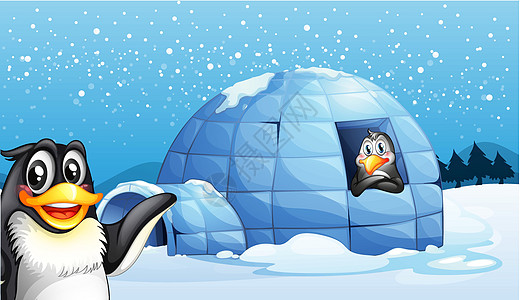 企鹅和冰球图片