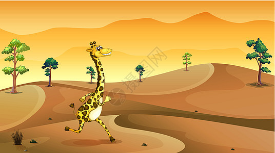 一只长颈鹿在沙漠里跑来跑去图片