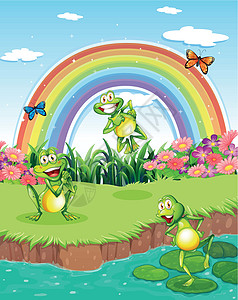 池塘三只花青蛙 天空彩虹图片