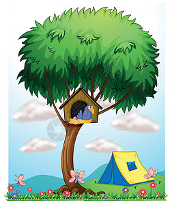 帐篷附近一棵树上的一个小屋图片