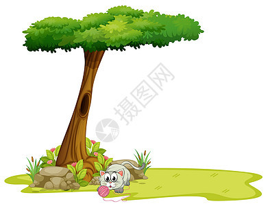 一只猫在树下玩捕食者树叶卡通片棕色绿色树干植物岩石白色宠物图片