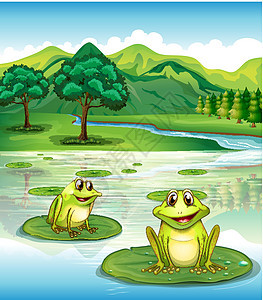 两只青蛙在水利上方图片