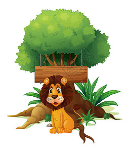 一只狮子在空的木制招牌前图片