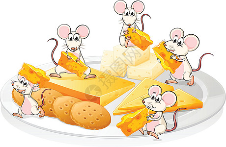 五只有奶酪和饼干的老鼠图片
