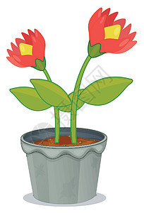 花朵的植物锅白色花瓣装饰红色树叶盆栽棕色塑料风格花蜜图片