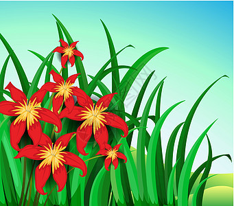有红色花的一个庭院礼物风格卡通片花园花瓣山顶山坡树叶花朵花蜜图片