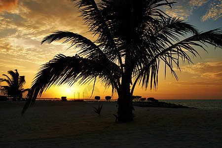 马尔代夫海滩日落海洋阳光棕榈海岸线旅行海滩海景奢华天空风景图片