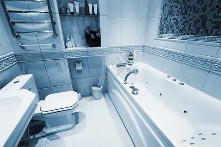 现代洗手间卫生纸房子花朵盥洗陶瓷蓝色架子酒吧奢华卫生间图片