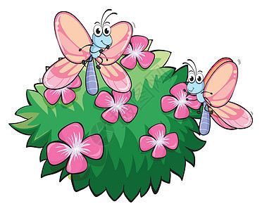 植物附近的两只蝴蝶 用粉红花朵背景图片