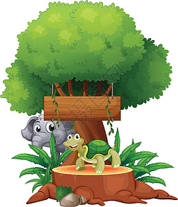 大树下一头乌龟和大象 挂着木标牌图片