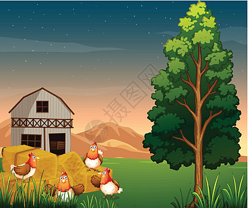 农庄干草附近一群鸡群图片