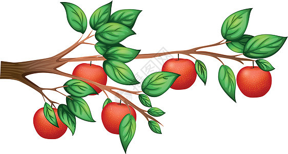 苹果树矿物质艺术种植园农业营养叶子农场木头农民绘画图片