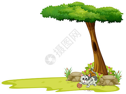 一只灰猫在树下玩弦球图片