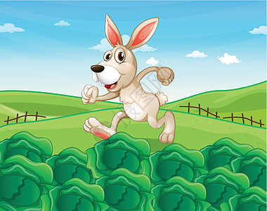 一只兔子跑在农场里图片