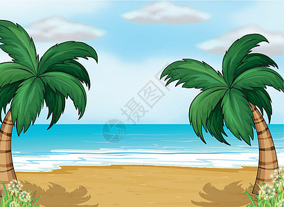 岸边的椰子树图片