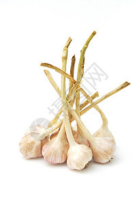 白色大蒜背景蔬菜厨房草本植物营养灯泡食物美食药品芳香棕色图片