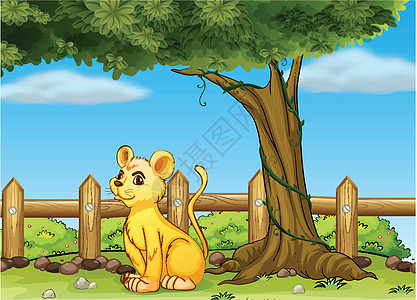 在篱笆里一只年轻的老虎图片