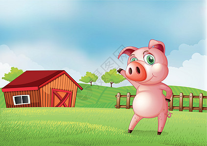 一头猪在农场 指着谷仓的房子图片