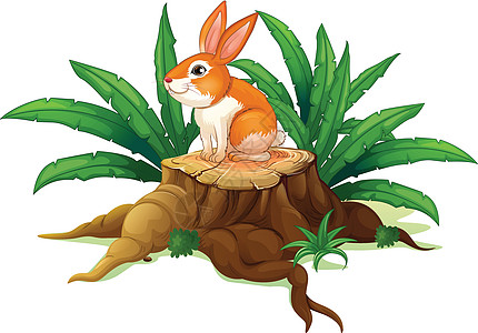 一只兔子坐在树桩上 有绿叶子图片